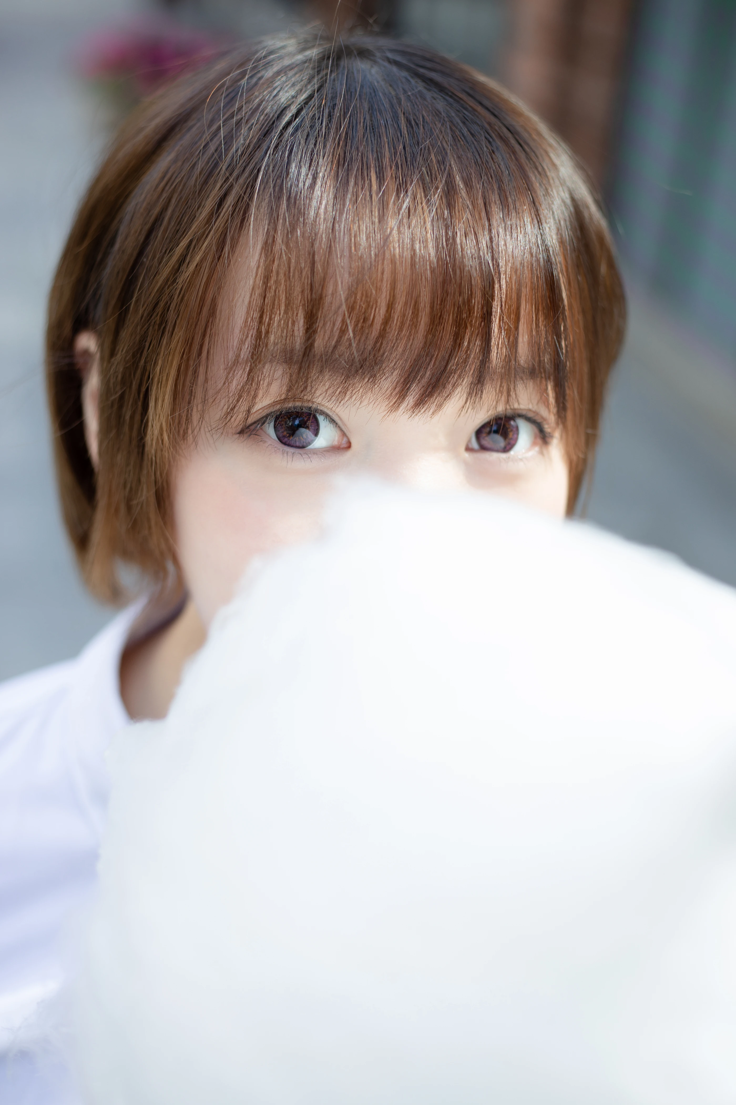 森萝财团 SSR-011 [104P] 1
